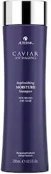 Alterna Caviar Replenishing Moisture 250ml Alterna Caviar Replenishing Moisture 250ml