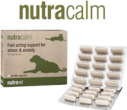 Nutravet Συμπλήρωμα Διατροφής Σκύλου Nutravet Συμπλήρωμα Διατροφής Σκύλου