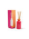 Stacked Γυάλινο Diffuser Infrared Mango 94ml Paddywax