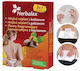 Warming Chestnut Patches 3+1 Free + Lumbar Belt