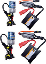 Xenon Car Lighting Kit H11 35W 12V 6000K Cold White Xenon Car Lighting Kit H11 35W 12V 6000K Cold White