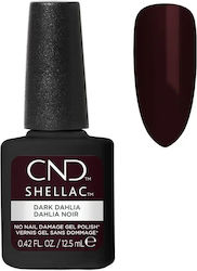 CND Shellac
