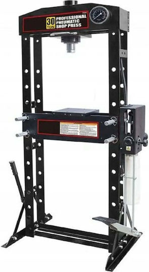 Rockforce Hydraulische Werkstattpresse mit Maximalem Druck bis 30 Tonnen
