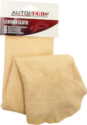 Car Cleaning Leather