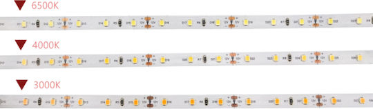 Eurolamp LED Strip 24V Warm White Light 30m