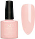 Shellac Gel Nagellack Uncovered