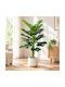Τεχνητό Διακοσμητικό Φυτό Γλάστρα Artificial Plant 120cm Galifas 449733 Galifas