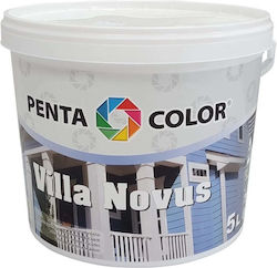 Pentacolor Wasser Villa Novus 5l Braun