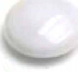 Argo Magnets 15mm Wf 607371 White 10 Pcs