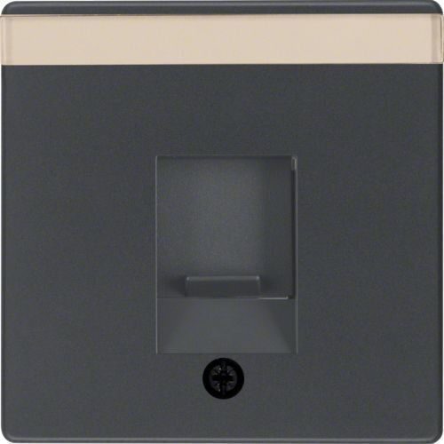 Hager Einzelne RJ45-Netzwerksteckdose in Grau 11706086