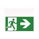 Intelight Exit Emergency Light with Battery Power Source