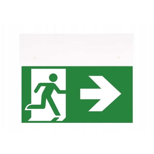 Intelight Exit Emergency Light with Battery Power Source