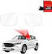 Grizzglass · 5906146498051