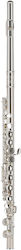 Gewa Germany Flute Fl650e Ambition