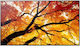 Sharp Ecran public de 98" D-LED 4K UHD