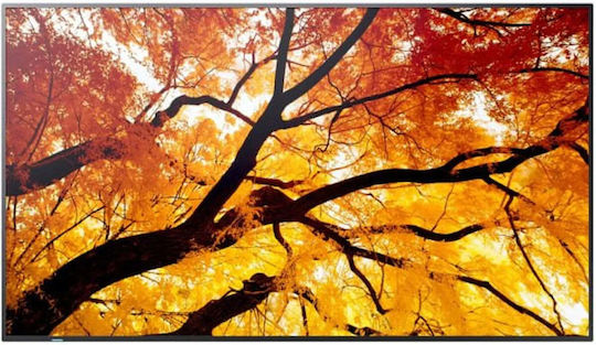 Sharp Ecran public de 98" D-LED 4K UHD