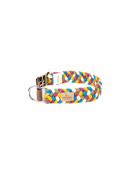 Hundehalsband Unicord Collar Party Collor Fuchsia-Khaki-Gelb-Blau-Ecru L 44–50 cm 35 mm Hundehalsband Unicord Collar Party Collor Fuchsia-Khaki-Gelb-Blau-Ecru L 44–50 cm 35 mm