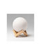 Decorative LED Lamp Moon Light