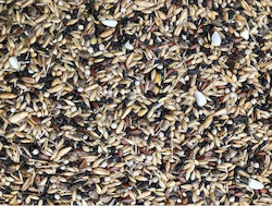 Natural Food 25kg