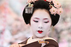 Gerakis Аромат White Geisha 1 литър – 003928wge