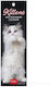 Legami 2027 Calendar Bookmark 18x5.5 Kittens Ag270157