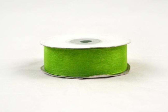Panglică din Organza Soft Subțire cu Margini Întărite 20mm 23m T991 Verde Măsliniu
