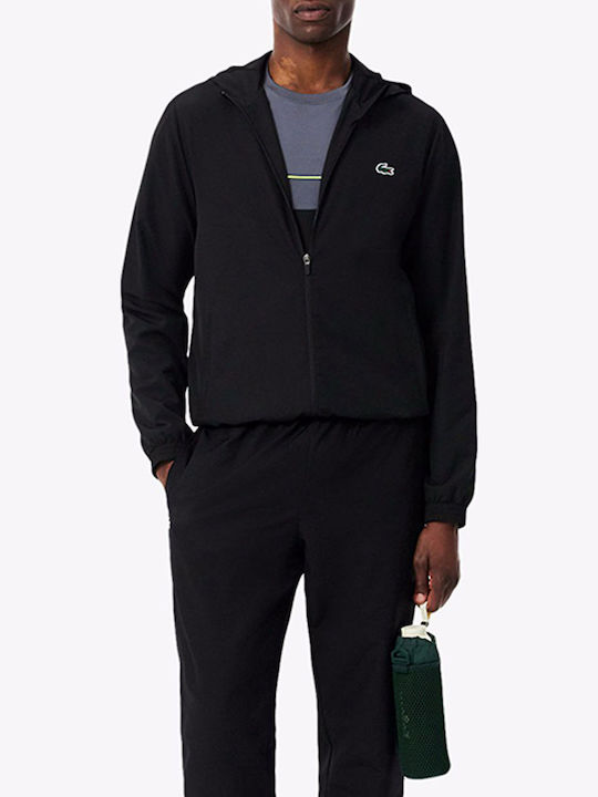 Lacoste Lacoste