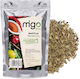 MIGOgroup Βασιλικός 50gr
