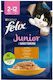 Wet Food for Junior Cats with Chicken, Meat and Fish 85g