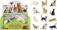 Mega Creative Kitten 12x9 Mix Mc Foil Display 12 216 432
