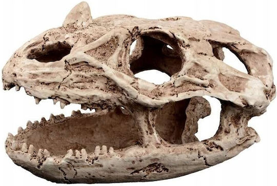 Terra Natura Terrarium Decoration Reptile Skull Hideout 19cm