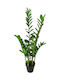 Изкуствено растение Замия в саксия 95 см, текстил, зелено, PVC, Liberta 031326