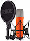 Rode NT-1 Signature Series Großmembran-Kondensatormikrofon mit XLR-Anschluss, stoßgedämpft, für Gesang, in Orange