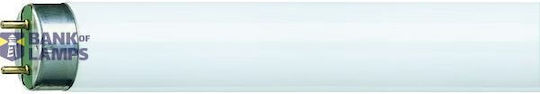 Lum 36W/880 Leuchtstofflampe 120 cm T8 Philips