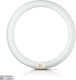 Leuchtstofflampe Lc G10q 40W/25-740 T9