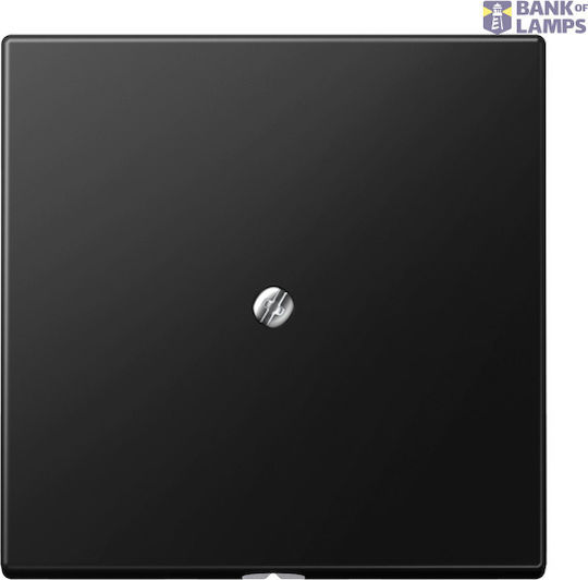Centre Plate W Cable Outlet Cable Outl W Ent Pl Matt Bla