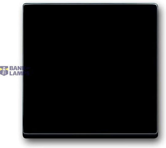1786-81-500 Cover Plates Partly Incl Insert Switch Push Button Single Rocker Without Imprint Anthracite 63x63