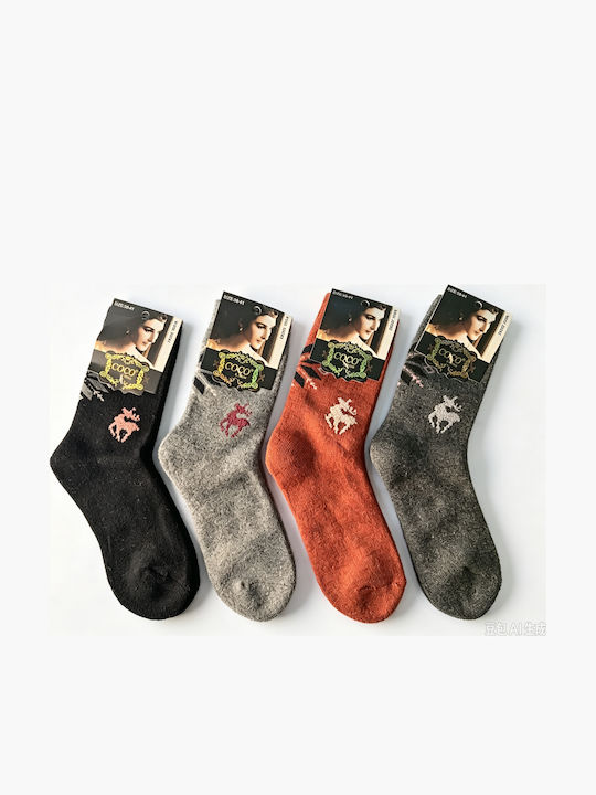 Coco&Hana Women’s Multicolour Socks 4-Pack