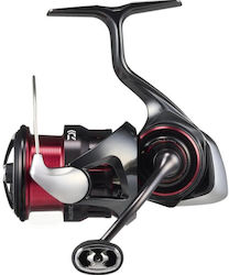 Daiwa Ballistic Daiwa Ballistic