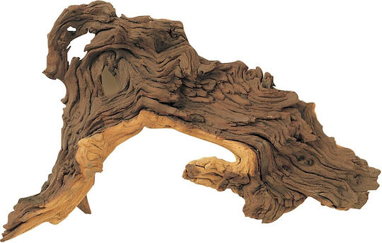 Тропически корени за аквариум Temaxio Mopani Wood M 1 Kg