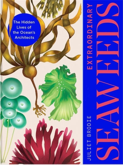 Extraordinary Seaweeds - Quercus Publishing - Hardback