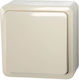Vilma Recessed Wall Switch with Ecru Frame