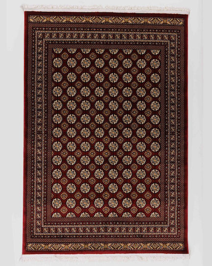 Cordoba 1649 Χαλί Ορθογώνιο Κόκκινο 200x290cm
