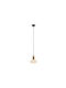 Fan Europe Pendant Ceiling Light with E14 Socket