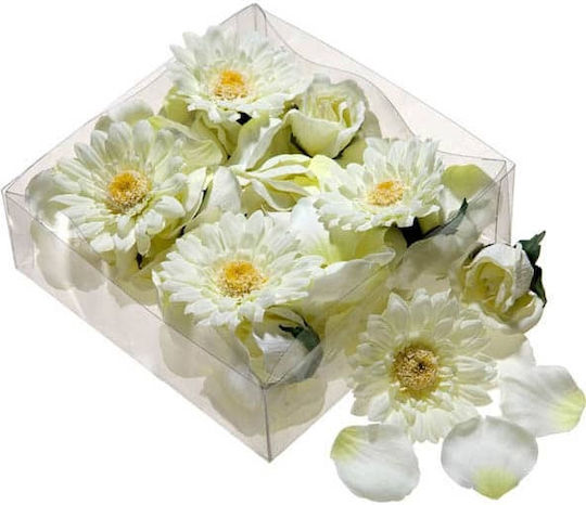 Jk Home Décor Μαργαρίτες & Ροδοπεταλα Κουτακι