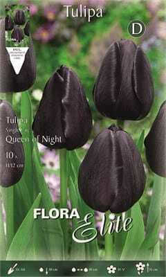 Flora Elite Луковици за Лалета 10 бр.