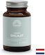 Mattisson Шиладжит 400 mg 60 Капсули