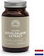 Mattisson Дяволски нокът 300 mg 120 капсули