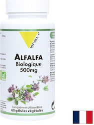 Vit'All+ Алфалфа 500 mg 60 Капсули Vit'all+