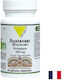 Vit'All+ Шатавари 300 mg 60 Капсули